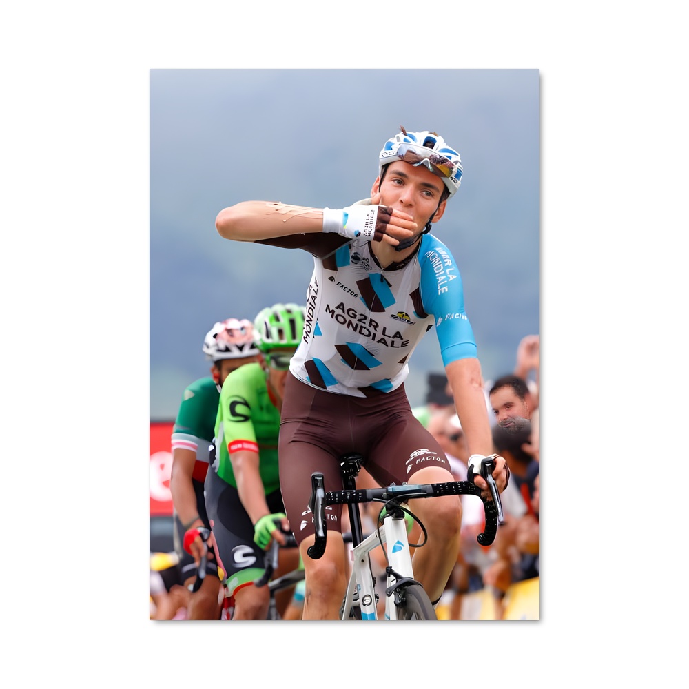 Poster Romain bardet